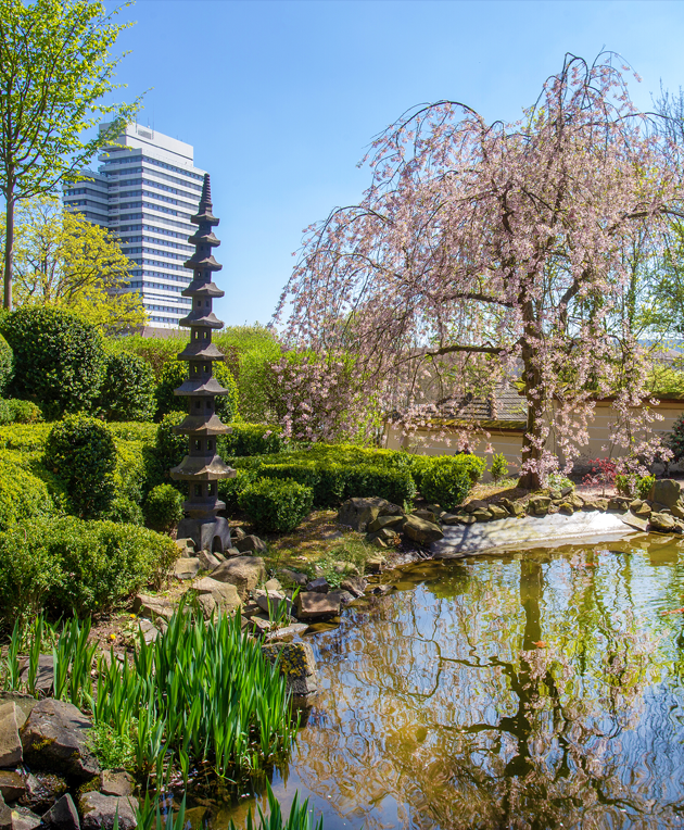 Japanischer Garten